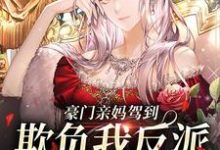 盛樱陆衍之是哪本书的主角?寻找豪门亲妈驾到,欺负我反派儿子没门免费阅读-美文小说