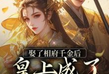 娶了相府千金后,皇上成了恋爱脑小说的所有章节都能在哪里免费读到?-美文小说