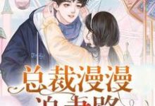 总裁漫漫追妻路免费阅读,总裁漫漫追妻路姜璎珞欧子明欧总灵灵-美文小说