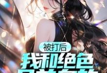 被打后,我和绝色且单身的太太和解了藤原松小说免费阅读-美文小说