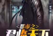 都市之君临天下小说阅读，都市之君临天下完结版-美文小说