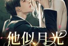 男女主人公叫萧睦夏怜星的小说免费资源-美文小说