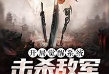 苏宇是哪本书的主角?寻找开局觉醒系统,击杀敌军就能变强免费阅读-美文小说