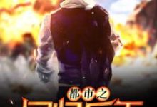 都市之回归兵王免费阅读，都市之回归兵王方言夏小雪方敏仪林依依-美文小说