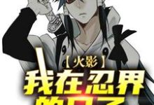 火影:我在忍界的日子小说,火影:我在忍界的日子佐藤枫漩涡泉子-美文小说