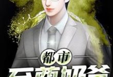 哪里能找到都市至尊奶爸小说的最新更新和免费章节？-美文小说