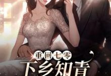 重回七零:下乡知青带糙汉致富小说的无弹窗阅读体验,寻找免费阅读网站-美文小说