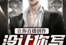 完结版《让你直播创作，没让你写海贼王》免费阅读-美文小说