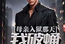 主角叫许墨苏炎的小说在哪阅读-美文小说