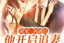 小说《甜宠:再遇后,他开启追妻火葬场》章节免费阅读-美文小说