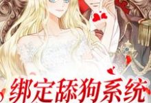 小说《绑定舔狗系统:老公躺平任舔》章节免费阅读-美文小说