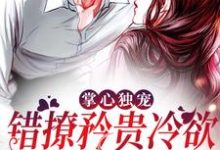 掌心独宠:错撩矜贵冷欲商圈太子爷这本小说在哪里可以看?哪里有免费试读章节?-美文小说