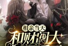 主角周觅付连州小说完结版在线阅读，相亲当天，和财阀大佬闪婚了免费看-美文小说