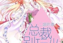 二婚娇妻:总裁别玩火最新章节,二婚娇妻:总裁别玩火章节在线阅读-美文小说