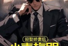 迎娶娇妻后,小青梅哭着来找我小说的最新章节在哪里更新?免费追踪阅读-美文小说