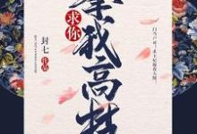 求你攀我高枝小说的所有章节都能在哪里免费读到?-美文小说