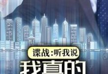 小说《谍战：听我说，我真的是友军》章节免费阅读-美文小说