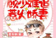 免费阅读苏若夏顾南柯为主角的小说,一胎两宝:顾少难追惹火娇妻在线看-美文小说