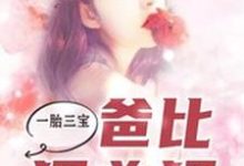 完整版的一胎三宝,爸比狠凶猛小说在哪里可以免费读到?-美文小说