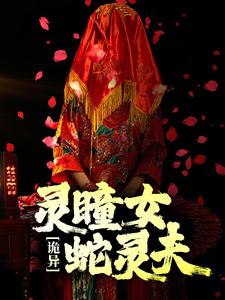 求 苏婉白重小说免费资源