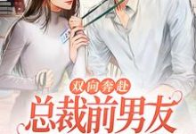 双向奔赴:总裁前男友非要破镜重圆小说有没有完结版在线?-美文小说