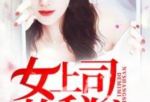 已完结小说《女上司的秘密》章节免费阅读-美文小说