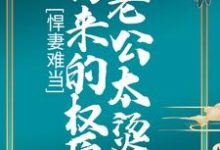 悍妻难当:拐来的权臣老公太烫手小说免费资源,悍妻难当:拐来的权臣老公太烫手在线阅读-美文小说
