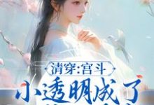 苏安安胤禛小说叫什么(清穿:宫斗小透明成了四爷心尖宠免费阅读)-美文小说