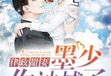 律政甜妻:墨少,你被捕了!小说,律政甜妻:墨少,你被捕了!章节在线阅读-美文小说