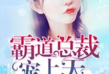 霸道总裁宠上天小说的所有章节都能在哪里免费读到?-美文小说