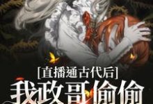 直播通古代后,我政哥偷偷研究发明小说完结了吗?在哪里可以免费读到?-美文小说