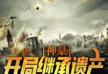 完结版《神豪:开局继承遗产,走向人生巅峰》章节阅读-美文小说