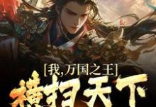 已完结小说《我,万国之王,横扫天下诸国》在线章节阅读-美文小说