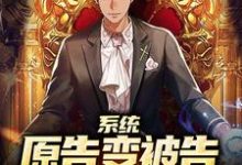 求系统：原告变被告，通通进大牢！小说的全文免费阅读链接-美文小说
