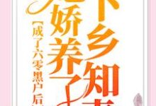 完结版《成了六零黑户后,她娇养了下乡知青》在线免费阅读-美文小说