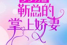 在线寻找步步为营,靳总的掌上娇妻小说的无删减版本-美文小说