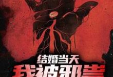 主角赵九庭苏清黎小说完结版在线阅读，结婚当天，我被邪祟拿了一血免费看-美文小说