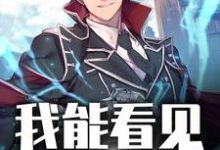 我能看见成功率小说的最新章节在哪里更新?免费追踪阅读-美文小说