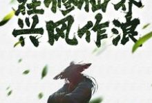 主角柳云天小说穿越大佬在修仙界兴风作浪免费阅读-美文小说