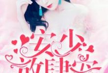 安少,放肆宠!小说的无弹窗阅读体验,寻找免费阅读网站-美文小说