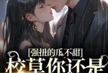 强扭的瓜不甜,校草你还是洗洗睡吧这本小说怎么样?免费在线阅读试试-美文小说