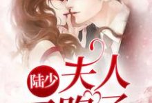 免费看陆少,夫人又跑了小说的网站有哪些?-美文小说