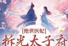 求绝世医妃,拆光太子府嫁摄政王小说的全文免费阅读链接-美文小说