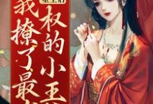 孟千姿萧久屹是哪本书的主角?寻找重生后,我撩了最有权的小王爷免费阅读-美文小说