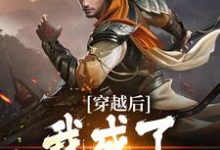 穿越后,我成了儒道至圣小说最新更新在哪里?免费在线看-美文小说