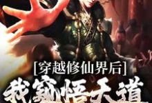 求推荐可以免费阅读穿越修仙界后，我窥悟天道飞升成仙小说的网站-美文小说