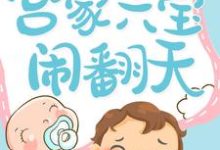 哪里能找到宫家六宝闹翻天小说的全部章节?-美文小说