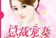 在线寻找总裁宠妻太霸道小说的无删减版本-美文小说