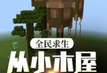 全民求生：从小木屋开始变强主角叶枫小说完结版章节在线阅读-美文小说