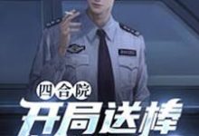 求四合院:开局送棒梗进局子小说的全文免费阅读链接-美文小说